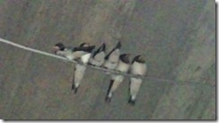 !cid_01@120612_140626@______F01A@docomo_ne