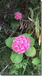 !cid_01@130625_081702@______F01A@docomo_ne