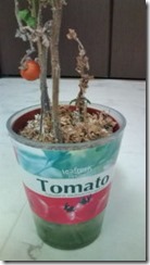 !cid_01@130520_173907@______F01A@docomo_ne