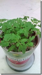 !cid_01@120818_123705@______F01A@docomo_ne